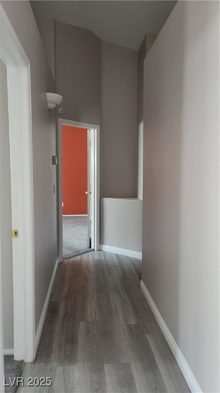 1147 Light Sky Avenue Property Photo 17