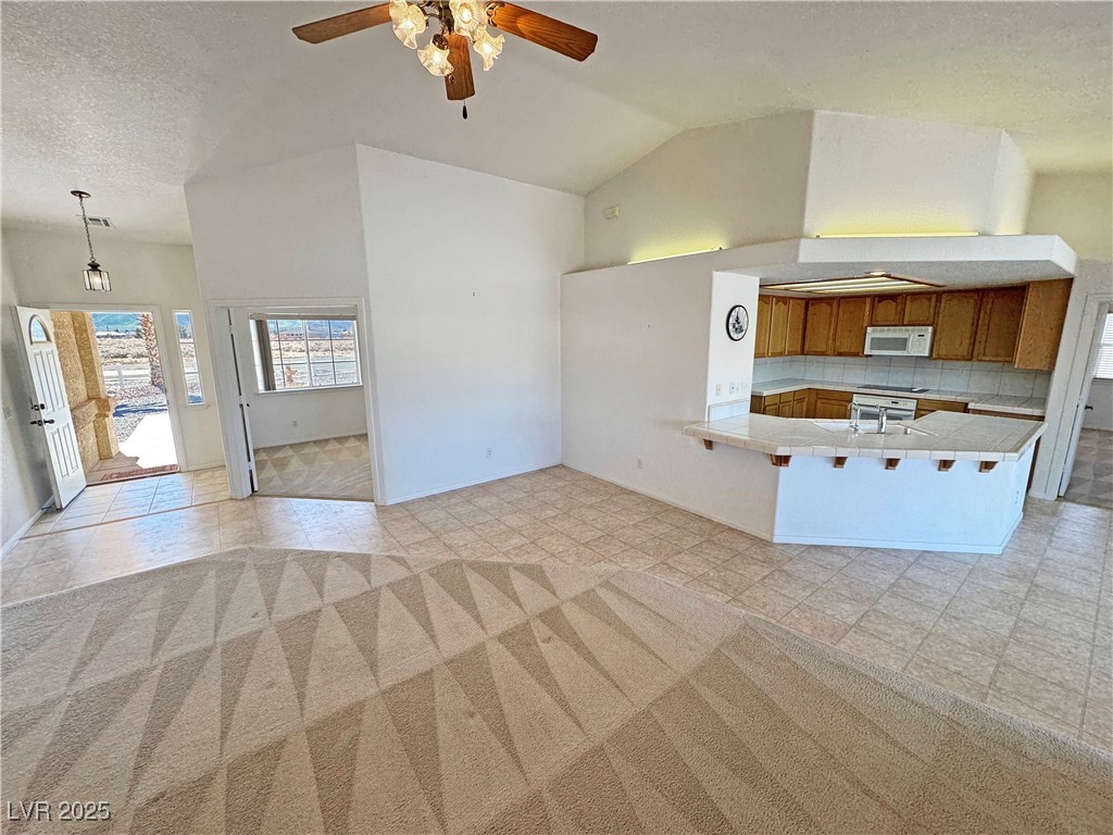 2080 Mount Charleston Drive Property Photo 12