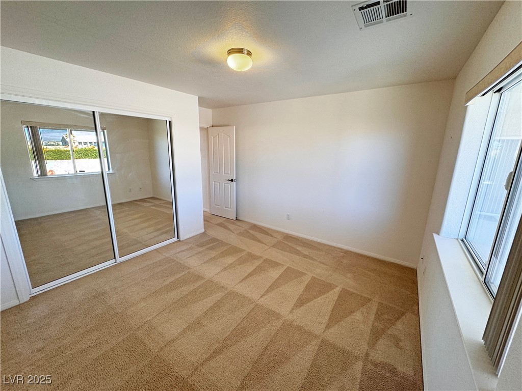 2080 Mount Charleston Drive Property Photo 18