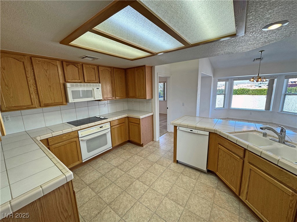 2080 Mount Charleston Drive Property Photo 38