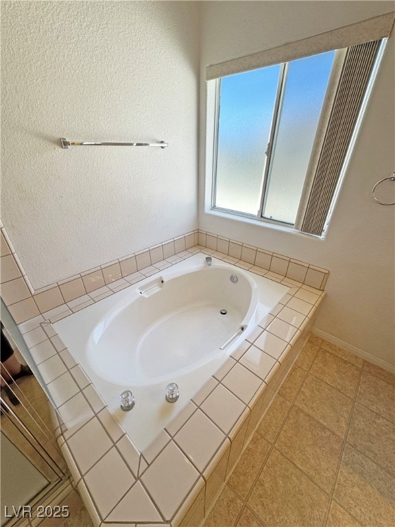 2080 Mount Charleston Drive Property Photo 54