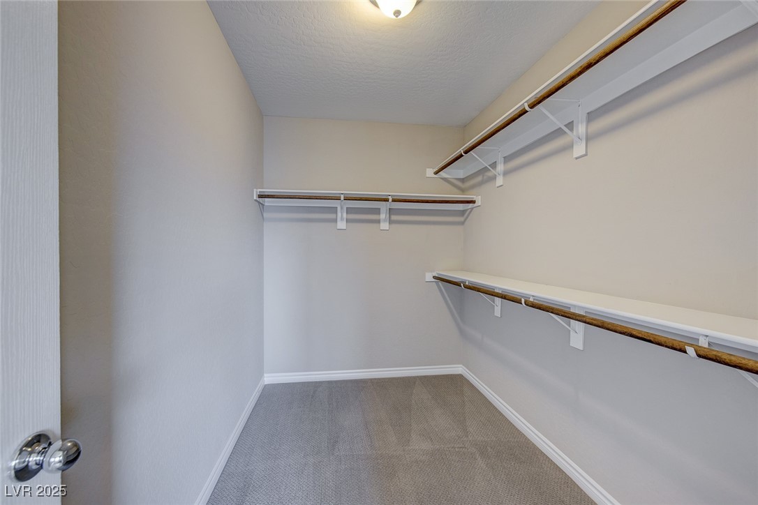 3026 Coveri Court Property Photo 20