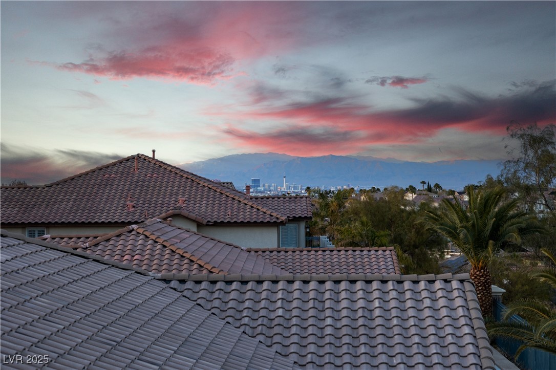 1436 Via Merano Street Property Photo 49