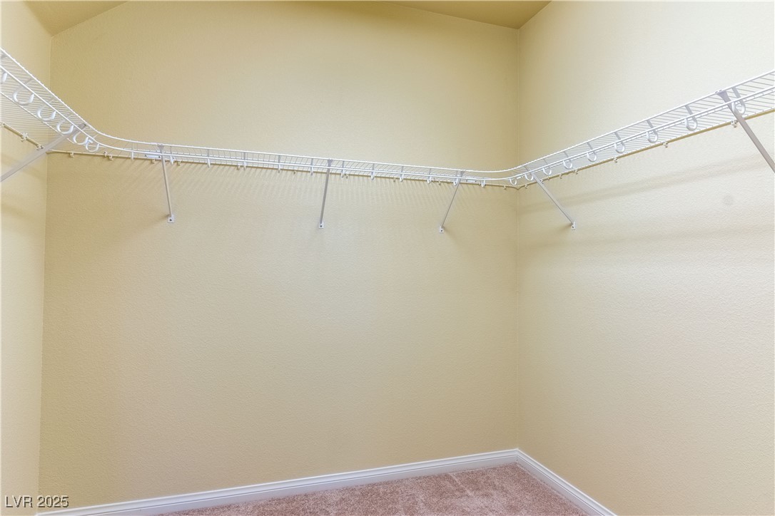 5350 Tulip Hill Avenue Property Photo 23