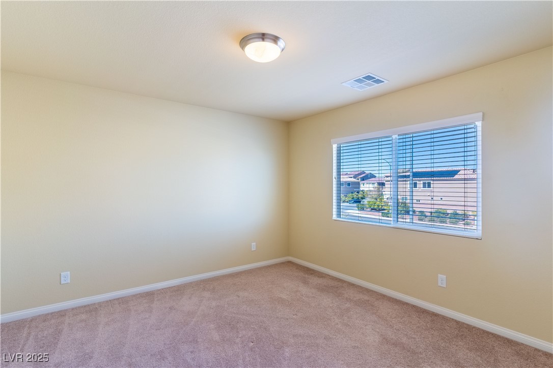 5350 Tulip Hill Avenue Property Photo 37