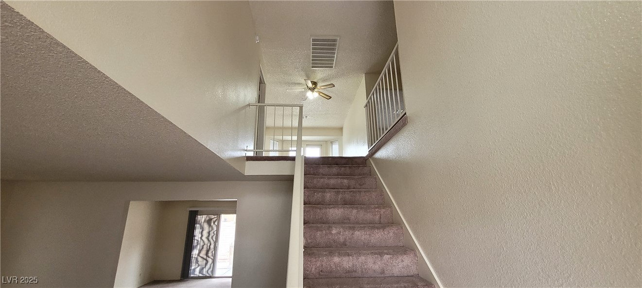2813 Cacto Court Property Photo 16