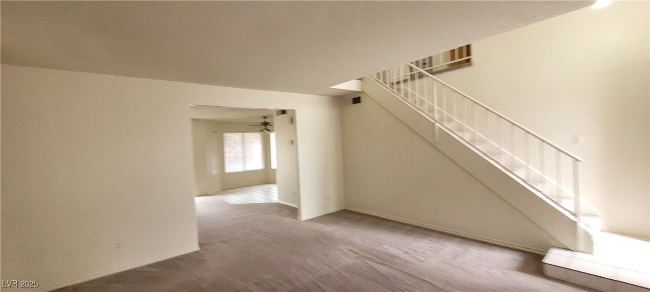 2813 Cacto Court Property Photo 21