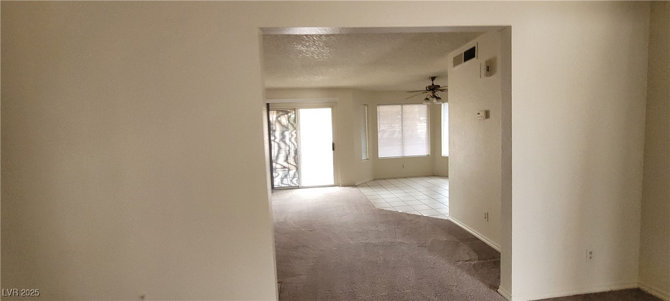 2813 Cacto Court Property Photo 25