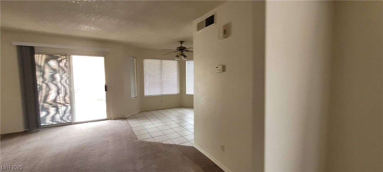 2813 Cacto Court Property Photo 26