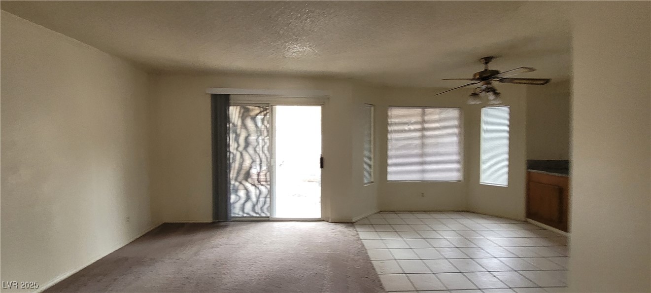 2813 Cacto Court Property Photo 27