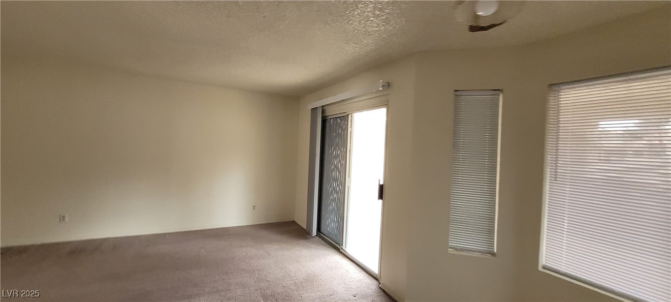 2813 Cacto Court Property Photo 38