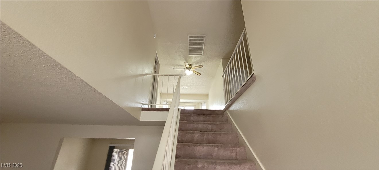 2813 Cacto Court Property Photo 40