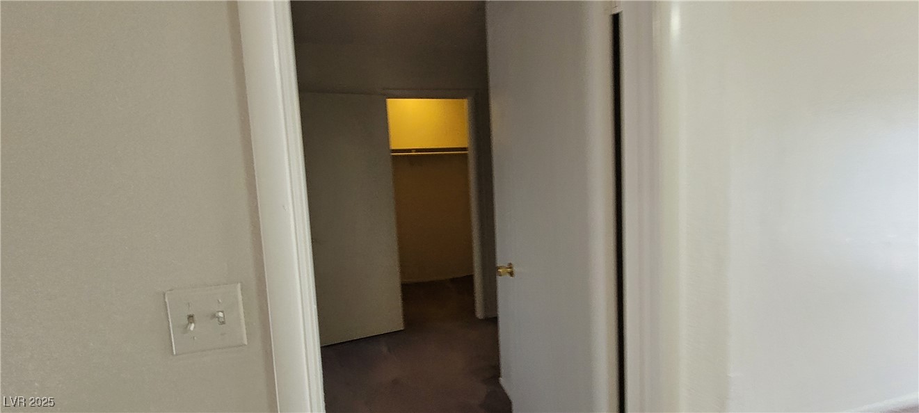 2813 Cacto Court Property Photo 44