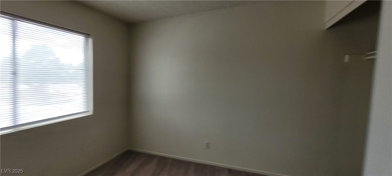 2813 Cacto Court Property Photo 52