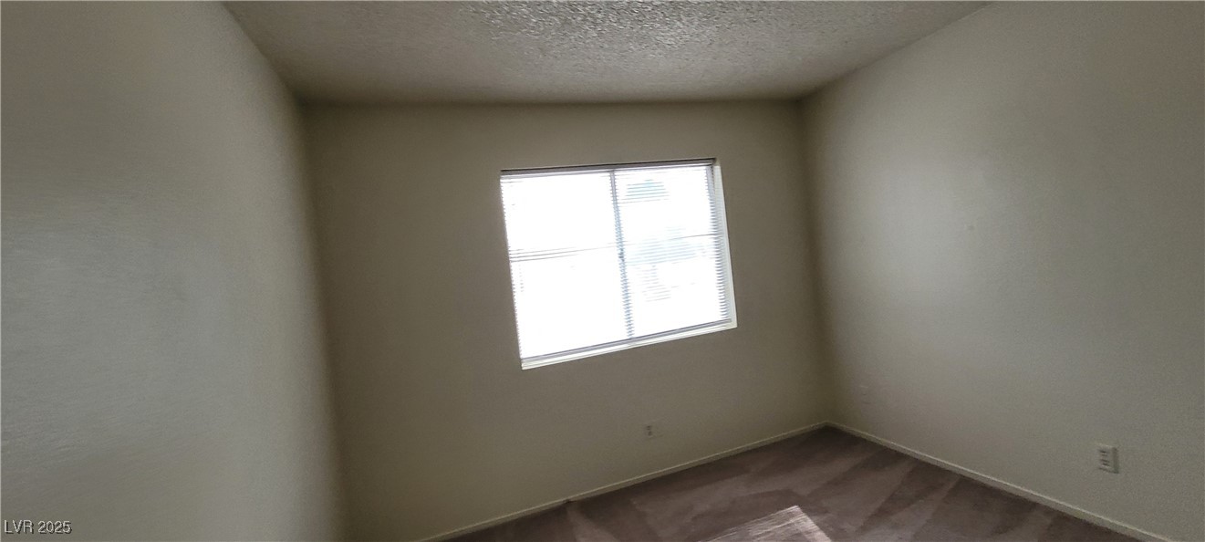 2813 Cacto Court Property Photo 53