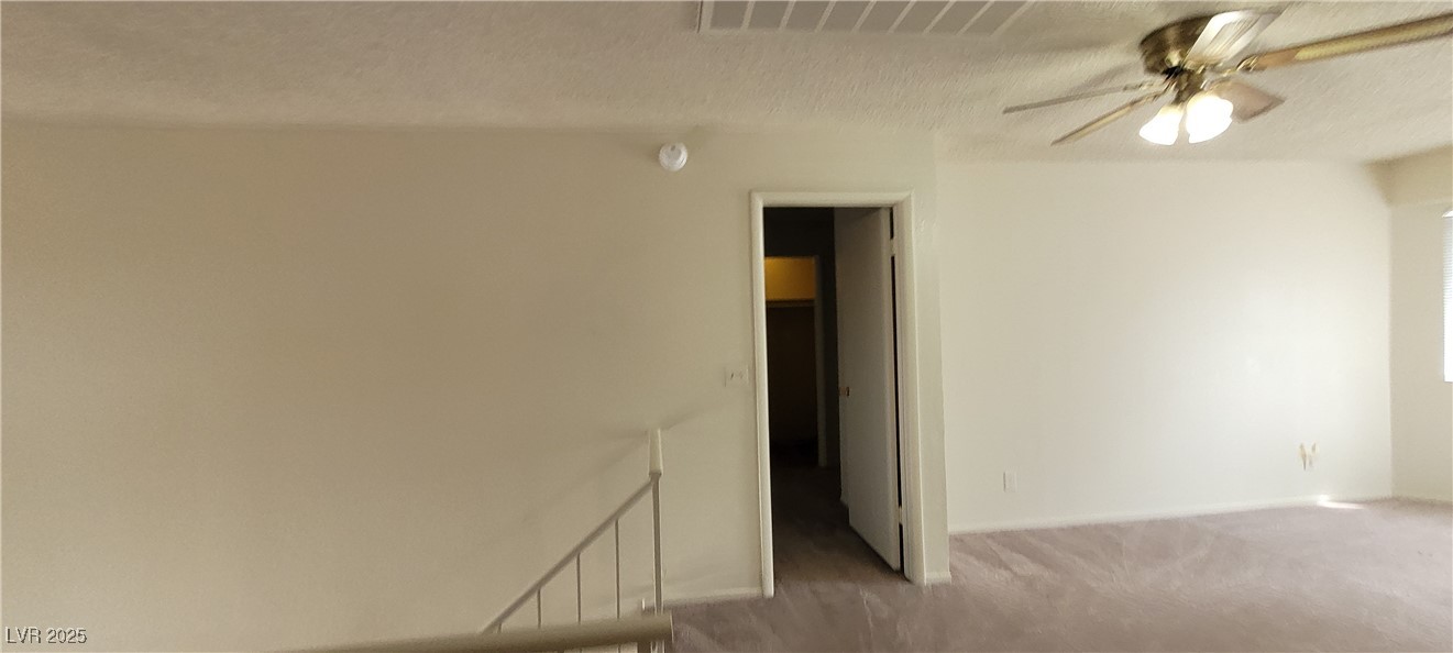 2813 Cacto Court Property Photo 60