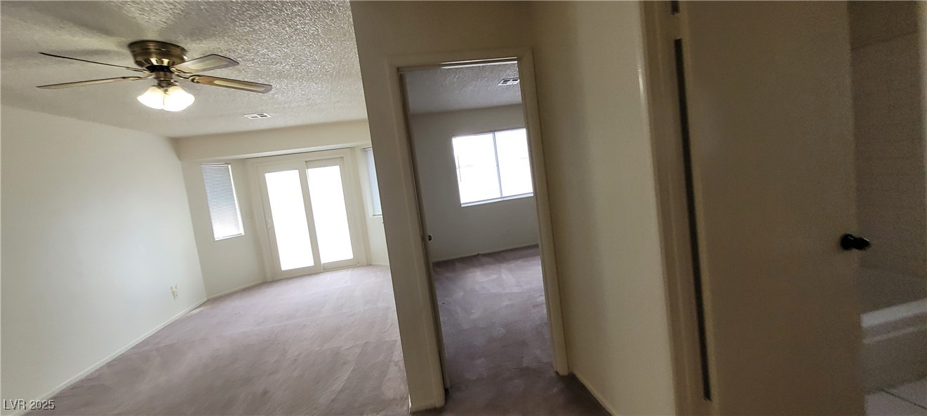2813 Cacto Court Property Photo 63