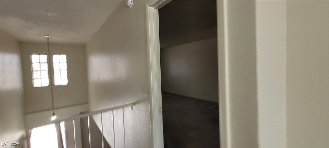 2813 Cacto Court Property Photo 71