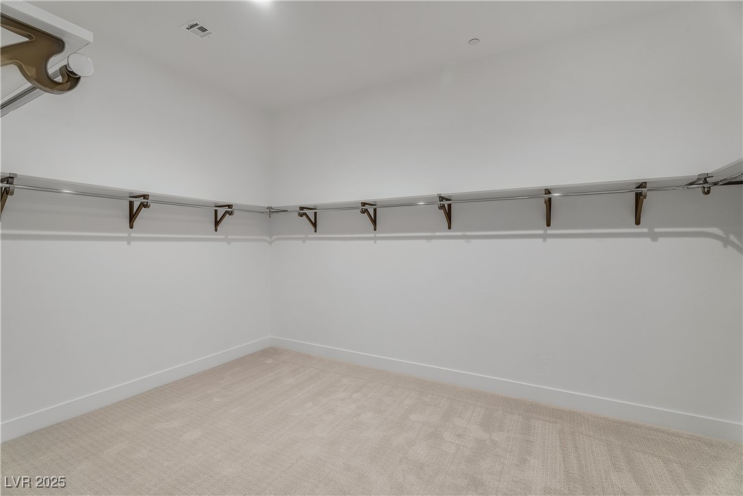 10739 Agate Cliffs Avenue Property Photo 42