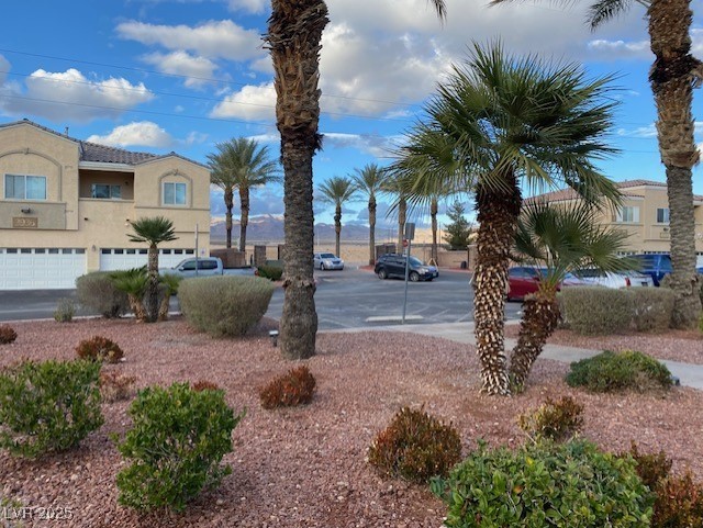 6316 Beige Bluff Street 201 Property Photo 2