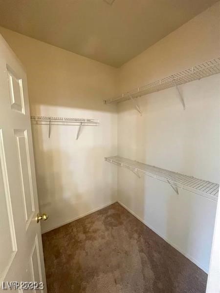 6316 Beige Bluff Street 201 Property Photo 53