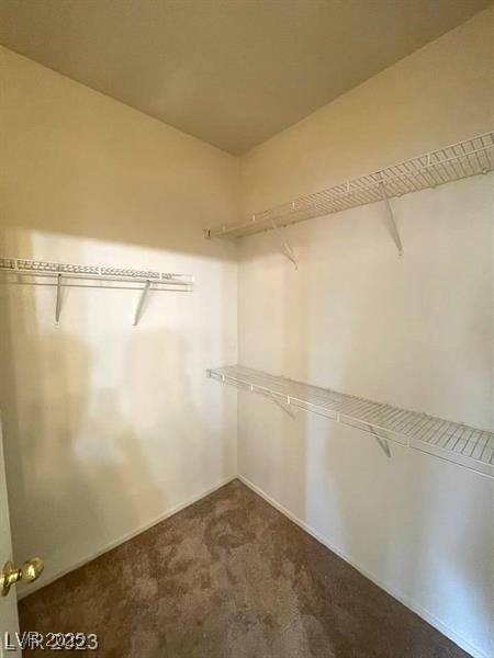 6316 Beige Bluff Street 201 Property Photo 55