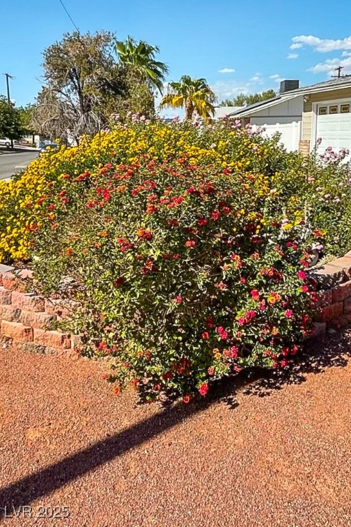 4690 San Benito Street Property Photo 3