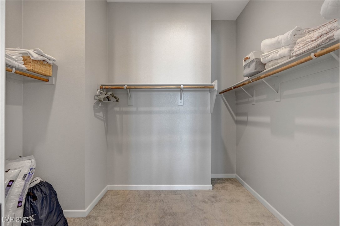 10197 Copper Meadow Avenue Property Photo 28