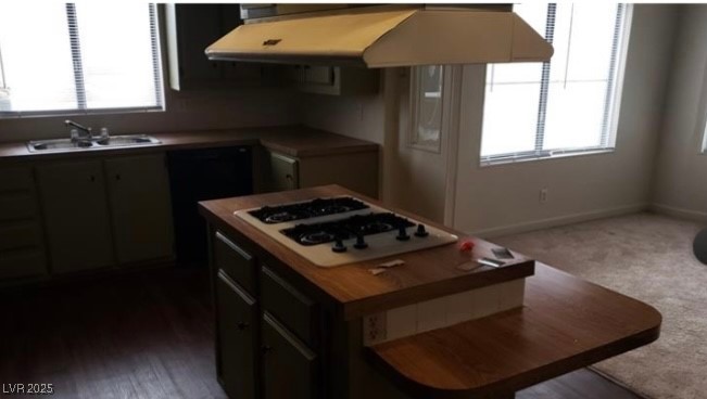 3231 Comitan Lane Property Photo 5