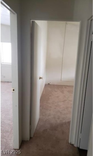 3231 Comitan Lane Property Photo 23