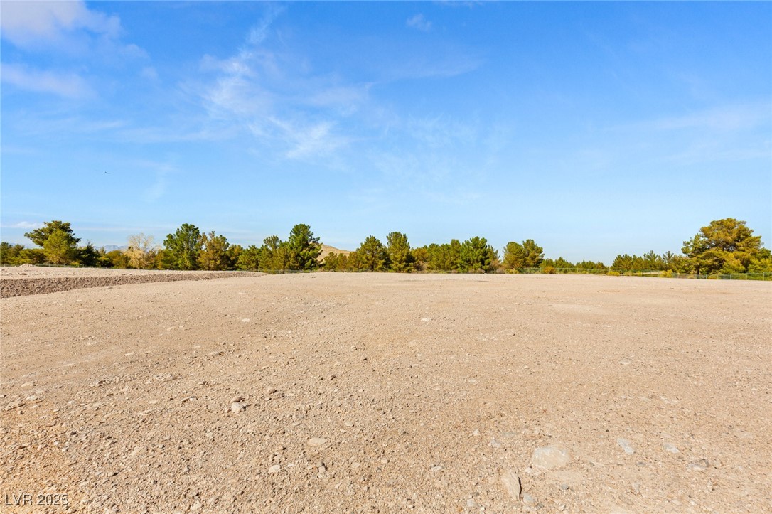8 Eagles Landing Lane Property Photo 4