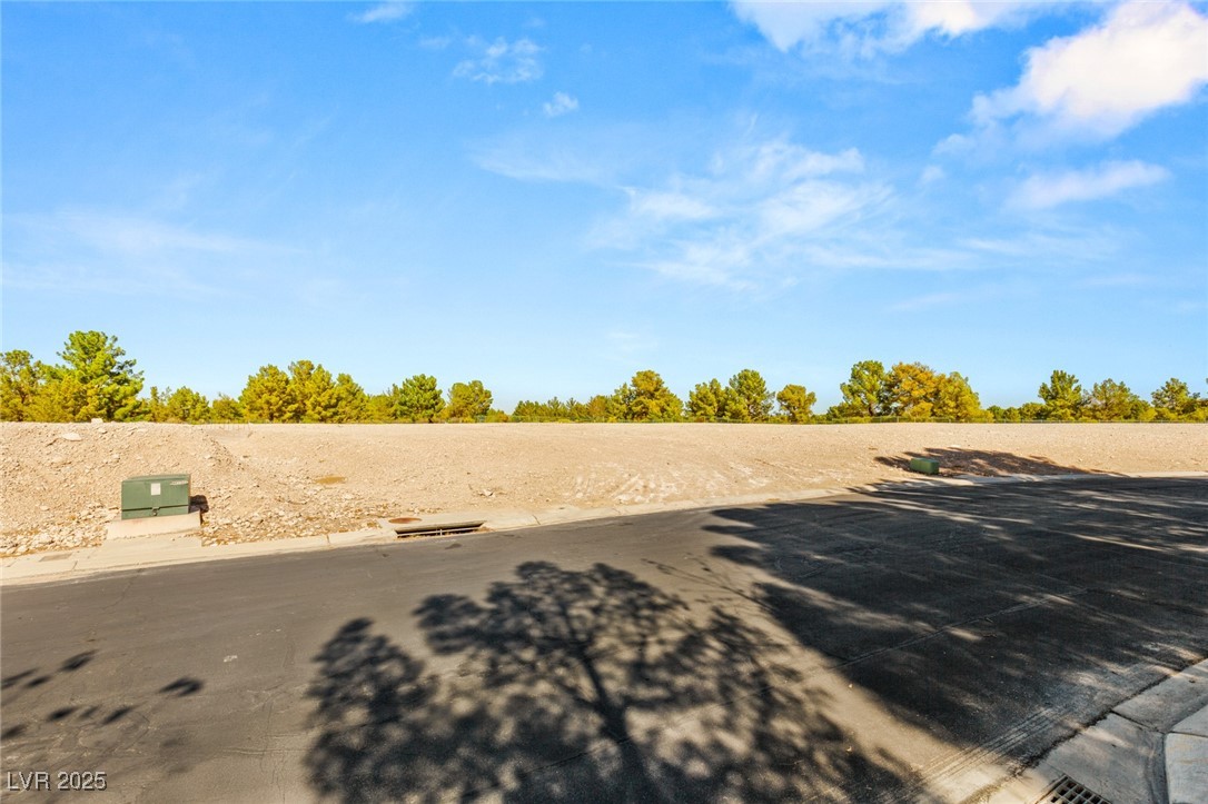 8 Eagles Landing Lane Property Photo 5
