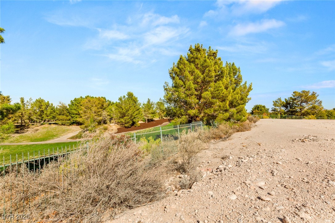 8 Eagles Landing Lane Property Photo 8