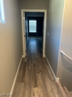 9218 Brayden Bay Street Property Photo 23