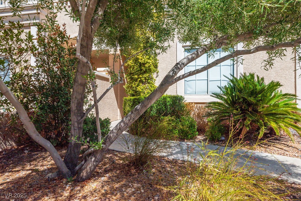 5014 Thunder River Circle Property Photo 54