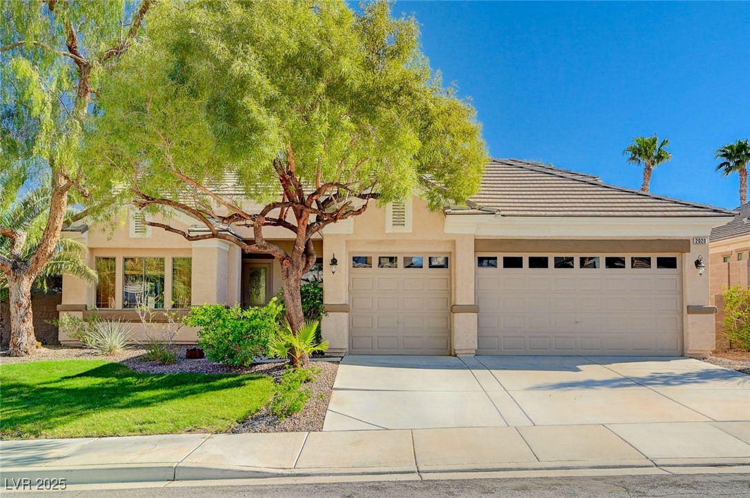 2020 Sinfonia Avenue Property Photo 2