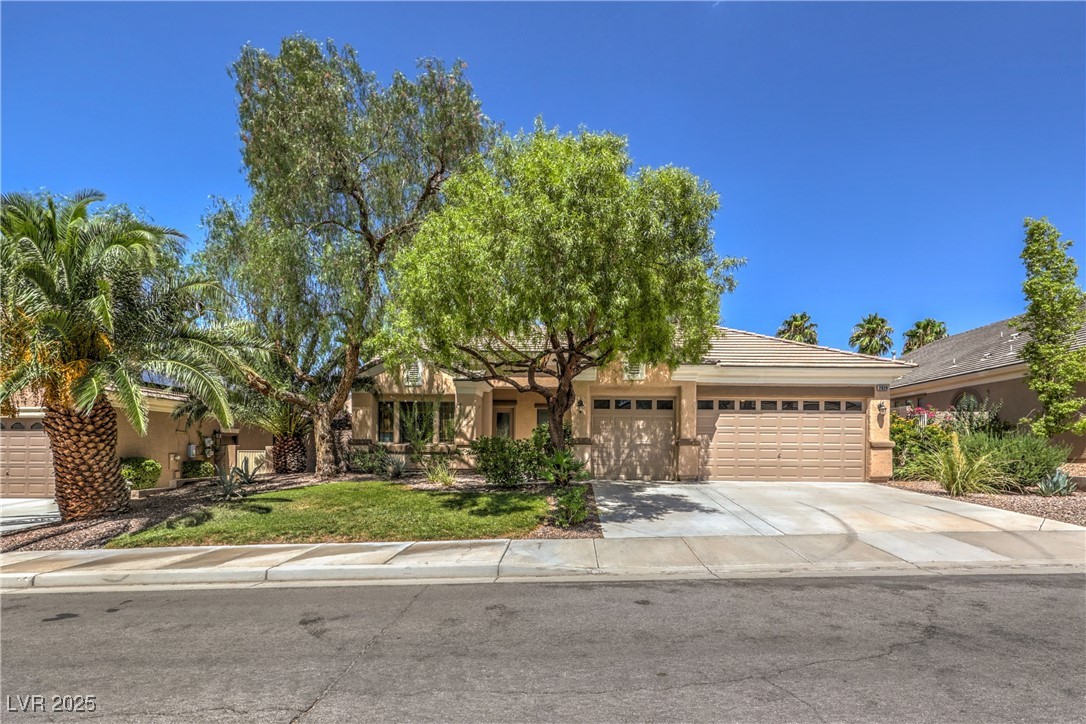 2020 Sinfonia Avenue Property Photo 3