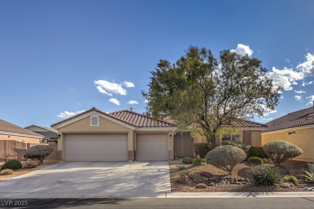 6429 White Tiger Court Property Photo