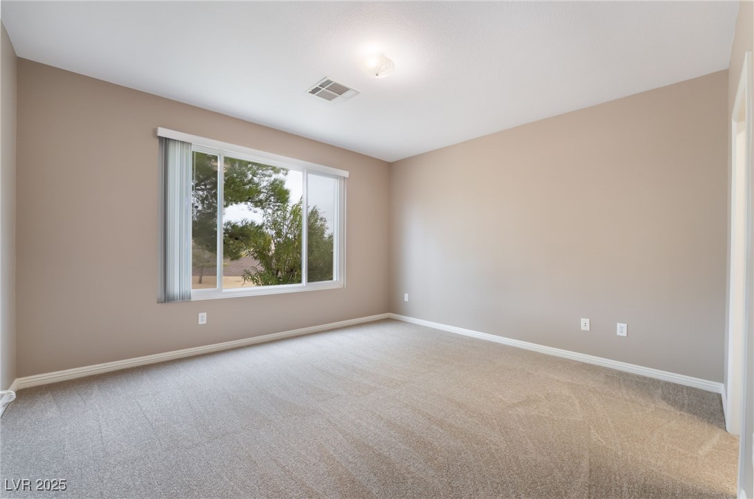4963 Pensier Street Property Photo 21