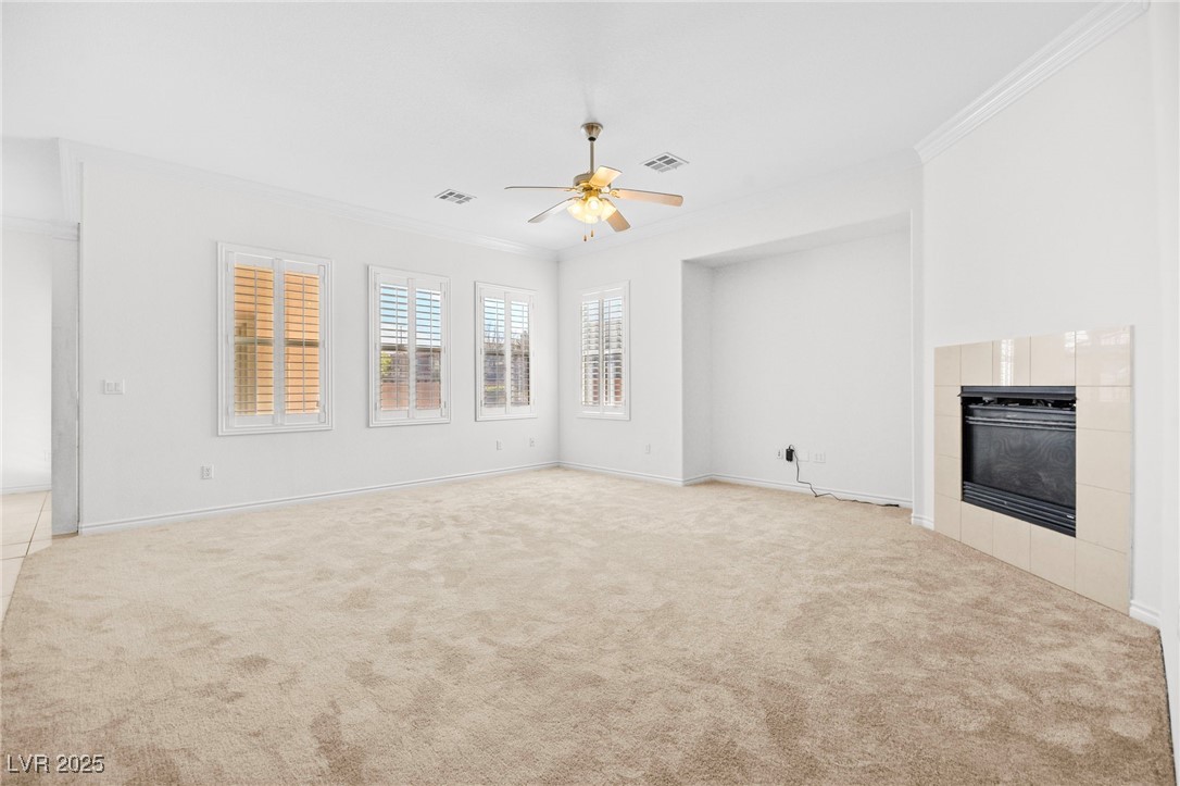 11298 Merado Peak Drive Property Photo 17