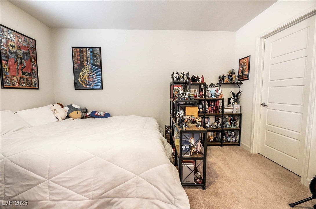 795 Pickled Pepper Place Property Photo 19