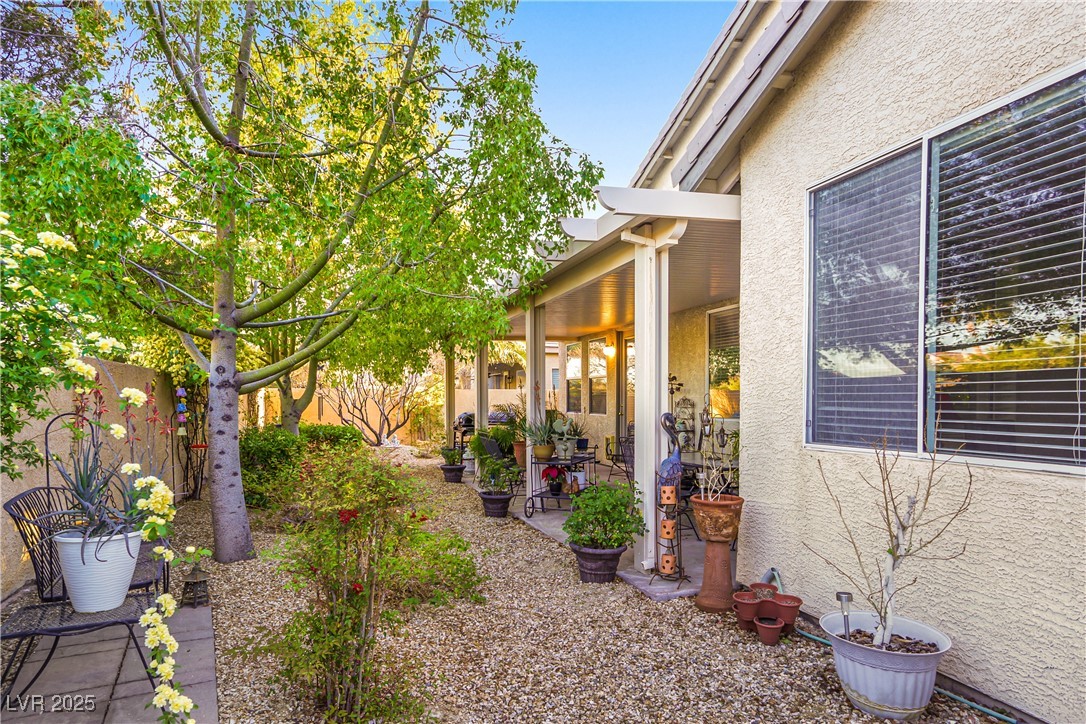 7172 Painted Paradise Street Property Photo 24