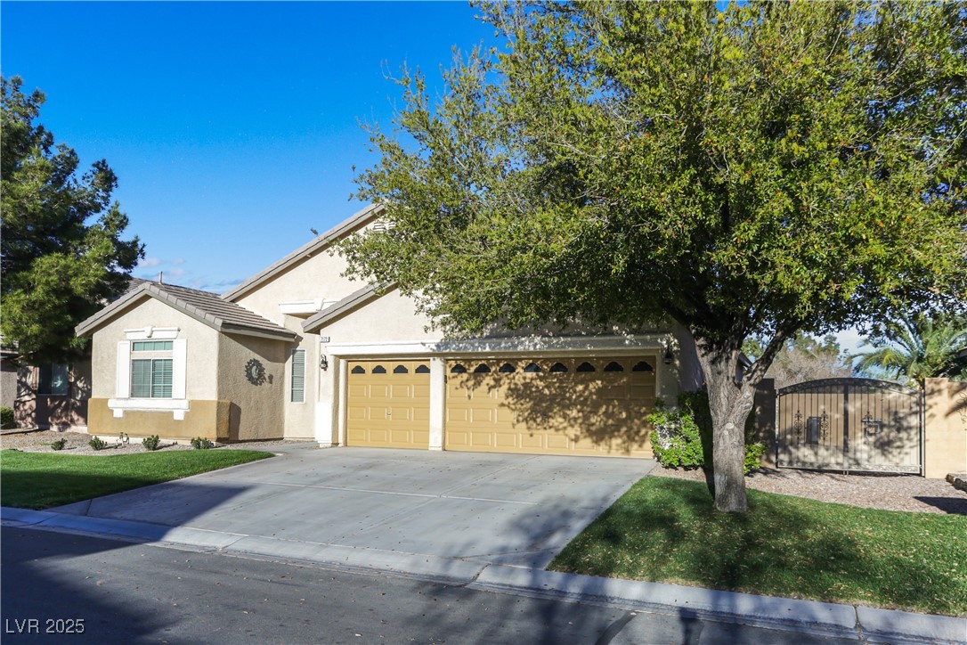 7172 Painted Paradise Street Property Photo 46