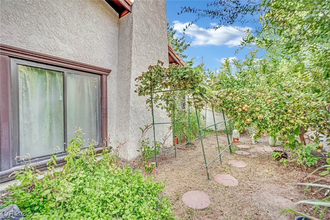 3221 Montecito Drive Property Photo 58