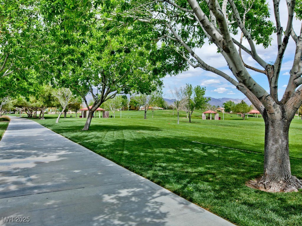 4125 Gliding Gulls Avenue Property Photo 33