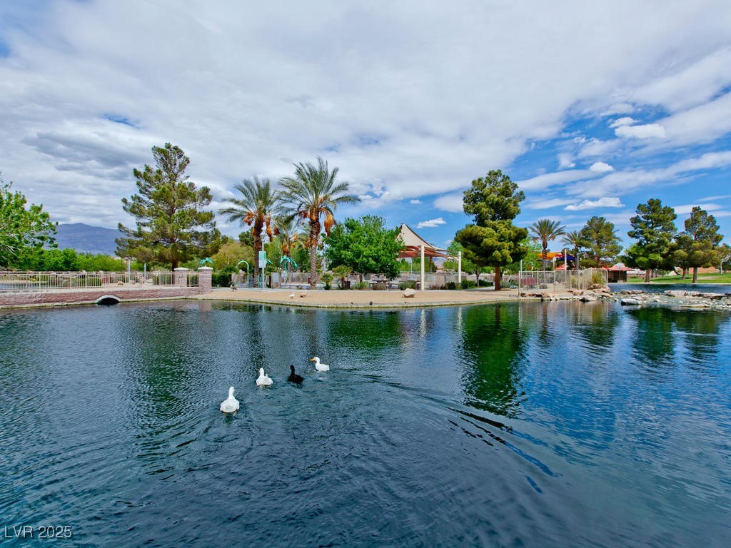 4125 Gliding Gulls Avenue Property Photo 35