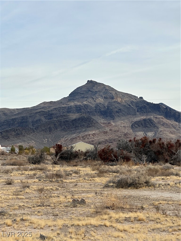 2473 Balzar Street Property Photo 2