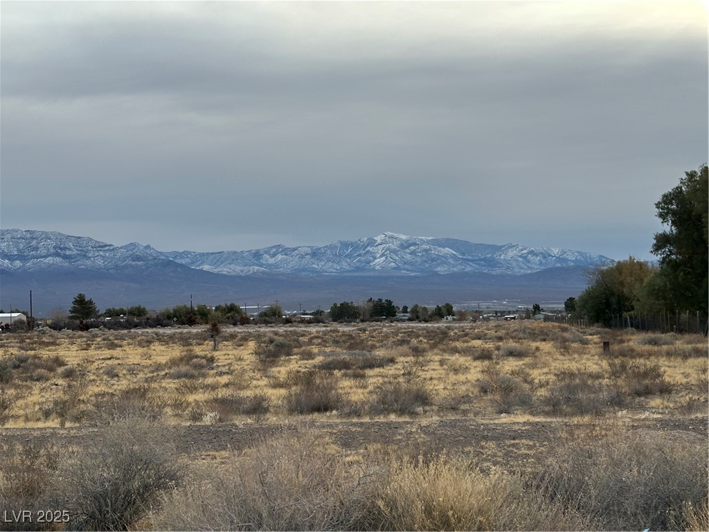 2473 Balzar Street Property Photo 4