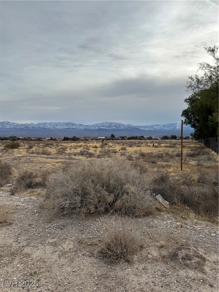 2473 Balzar Street Property Photo 5