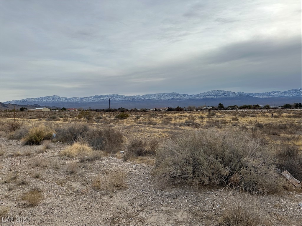 2473 Balzar Street Property Photo 6